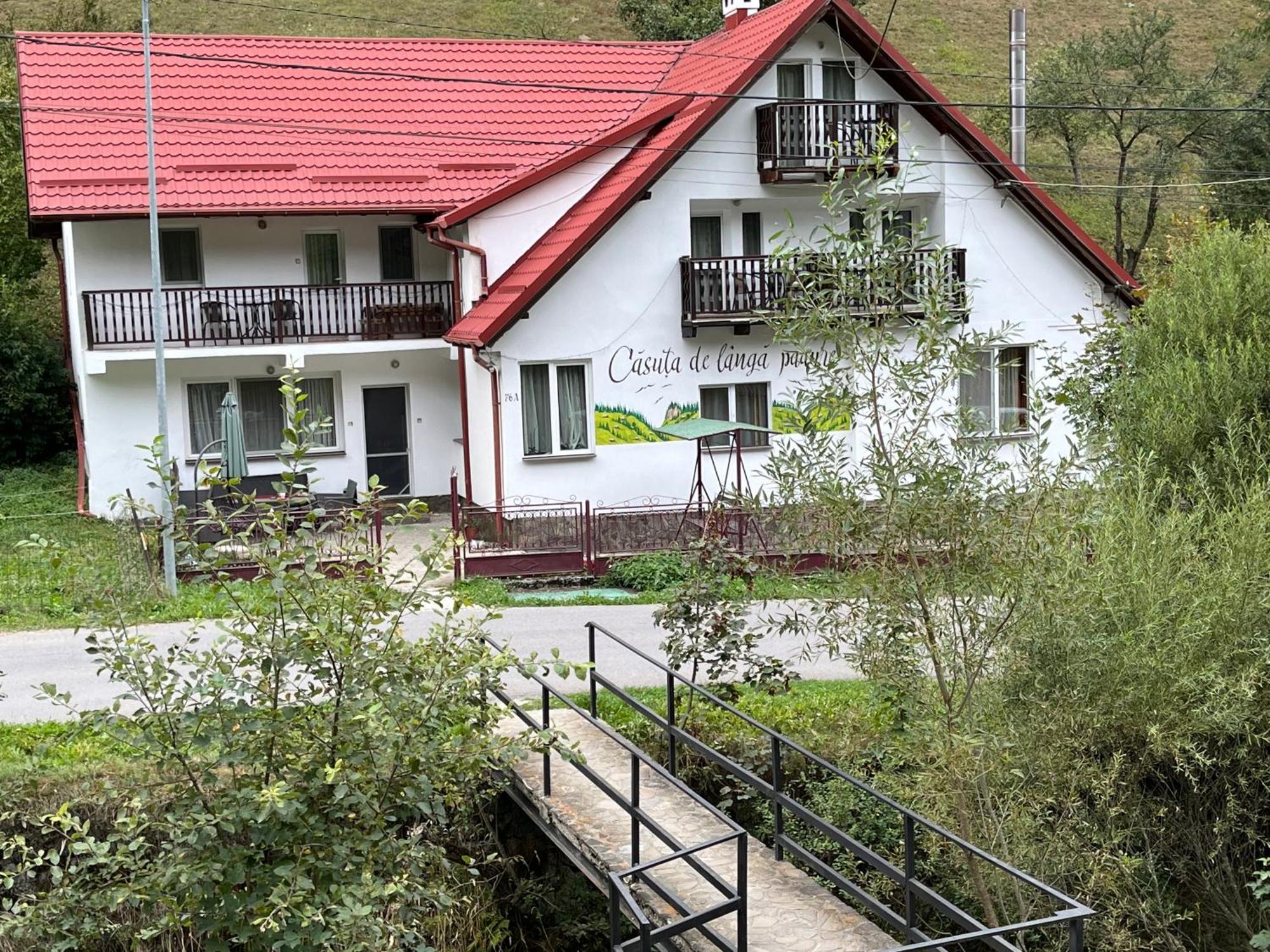 Casuta De Langa Padure Ξενοδοχείο Moeciu De Sus Εξωτερικό φωτογραφία
